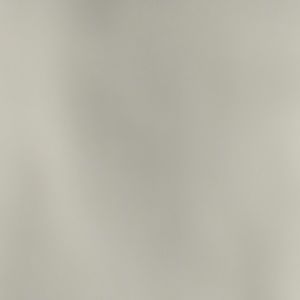 Meet your Posher, Dree